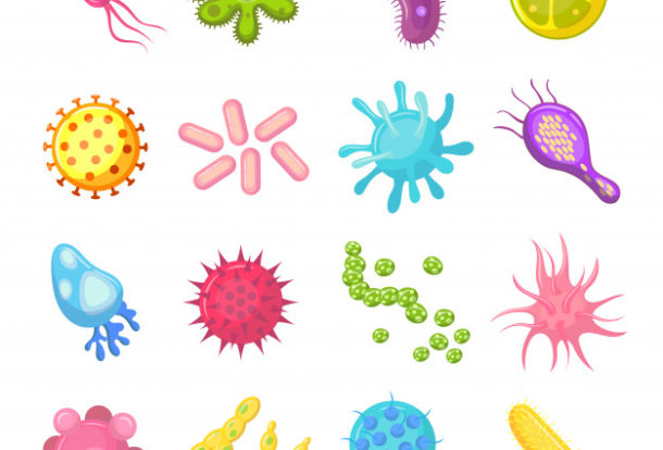 bacterias germenes visten coloridos microorganismos objetos que causan enfermedades bacterias virus microbios pandemicos hongos 102902 39